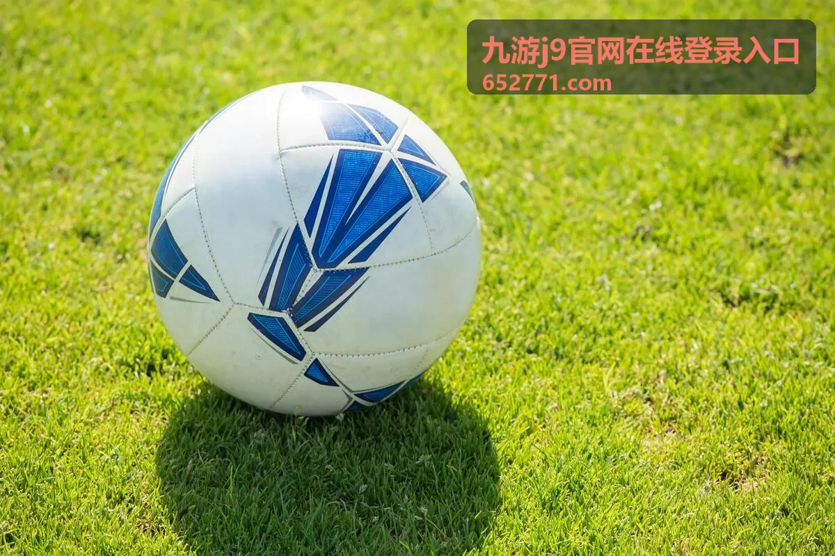 九游j9官网在线登录入口的账号安全设置界面示意